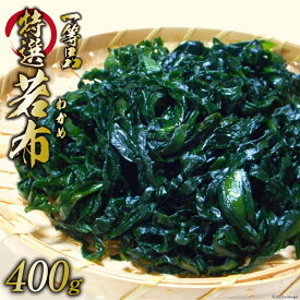 【ふるさと納税】【外抜一等品】 三陸産 特撰若布 400g [大菊 宮城県 気仙沼市 20562927] ワカメ わかめ 塩蔵 冷蔵 一等品