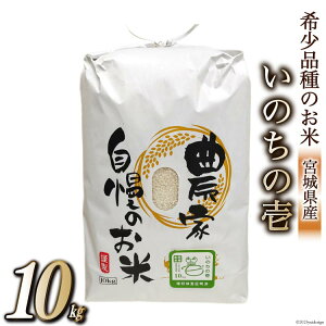 yӂ邳Ɣ[Łz  ̂̈ 10kg [eBGXT[rX {錧 Cs 20563812]     ͂ 