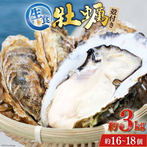 yӂ邳Ɣ[Łz yԌ蔭z TVŏЉI y 3`4Nm H kty 3kg(16-18) [Z쐅Y {錧 Cs 20564186] Ԍ ① VN Z ^y JL  y L