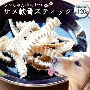 yӂ邳Ɣ[Łz UMINO PET TXeBbN 40g×3 [ΓnX {錧 Cs 20563959] ybgt[h hbOt[h   p ybg  Ic Y CY T L 