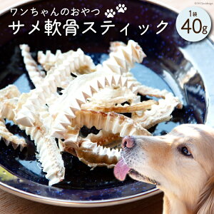 yӂ邳Ɣ[Łz UMINO PET TXeBbN 40g×1 [ΓnX {錧 Cs 20563943] ybgt[h hbOt[h   p ybg  Ic Y CY T L 