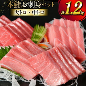 yӂ邳Ɣ[Łz yٌpBz { hgZbg g 800g g 400g [LmCY {錧 Cs 20563969]  hg ܂ }O {}O   { {܂ { Zbg 