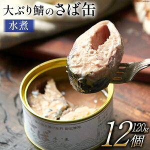 yӂ邳Ɣ[Łz ԂÎΊ 12 Zbg  [}VF {錧 Cs 20565067] ʋl To To ʋl Â I  ΂̐  ȒP  ۑH  퉷