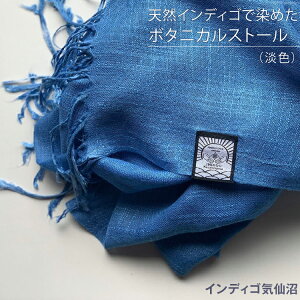yӂ邳Ɣ[Łz VRCfBSŐ߂{^jJXg[iWFj [CfBSC {錧 Cs 20563630]  g fB[X Y jp jZbNX