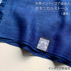 yӂ邳Ɣ[Łz VRCfBSŐ߂{^jJXg[iZFj [CfBSC {錧 Cs 20563849]  g fB[X Y jp jZbNX