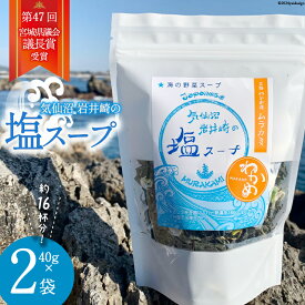 【ふるさと納税】気仙沼 岩井崎の塩 スープ 40g×2袋（約16杯分） [ムラカミ 宮城県 気仙沼市 20563062] インスタント 即席 海藻 海藻スープ お吸い物 吸い物