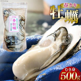 【ふるさと納税】牡蠣 生食用 むき身 500g 《5月前半～出荷》 春 かき 期間限定 冷蔵 ヤマヨ水産 [気仙沼市物産振興協会 宮城県 気仙沼市 20563124]