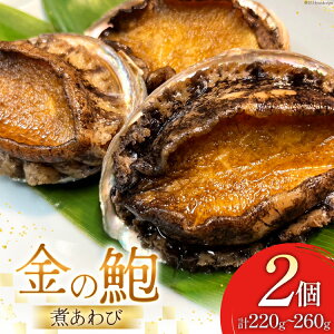 yӂ邳Ɣ[Łz ς  2 (220`260g) [t {錧 Cs 20564311]   Ar  y t    ܂ Ⓚ