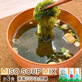【ふるさと納税】 【簡単に贅沢な即席みそ汁！】MISO SOUP MIX（氣嵐・リアス・荒磯）3個セット [ムラカミ 宮城県 気仙沼市 20563539] わかめ とろろ昆布 のり 海藻 味噌汁 インスタント 即席 簡単調理