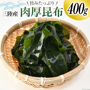 yӂ邳Ɣ[Łz OY  z 400g [쑺CY {錧 Cs 20564661] CY Ru ώ ϕ  ܂ ł ϕ ς o` C  퉷
