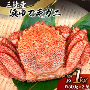yӂ邳Ɣ[Łz yԌ蔭z OYlŖуKj 500g×2 v1kg [X {錧 Cs 20564161]  CN OY O Jj I уKj т ъI {C l䥂 l 