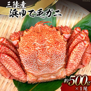 yӂ邳Ɣ[Łz yԌ蔭z OYlŖуKj 500g [X {錧 Cs 20564164]  CN OY O Jj I уKj т ъI {C l䥂 l ①