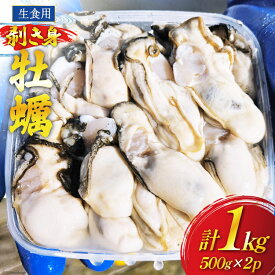 【ふるさと納税】 【期間限定発送】 牡蠣 計1kg (約26‐44個入) 500g×2p むき身 生食用 [住喜水産 宮城県 気仙沼市 20564824] 期間限定 冷蔵 新鮮 濃厚 真牡蠣 カキ かき 生牡蠣 魚貝類 生牡蠣 貝 海鮮 魚介類 なべ カキフライ 牡蠣ご飯 魚介