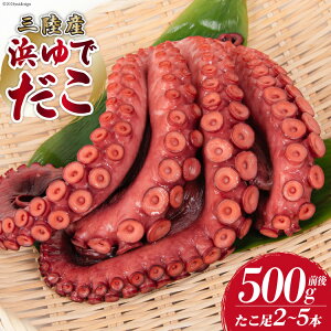 yӂ邳Ɣ[Łz ^R OY lł 500g (2`5{) [X {錧 Cs 20564846]   䥂Ń_R 䥂ő 䥑 O Ⓚ ^R   _R   l 