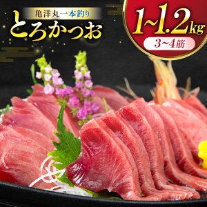 yӂ邳Ɣ[Łz yTVŏЉIzTmۈ{ނƂ납 1kg`1.2kg [X {錧 Cs 20565040]  CN  JcI   g g hg hg hg Ⓚ