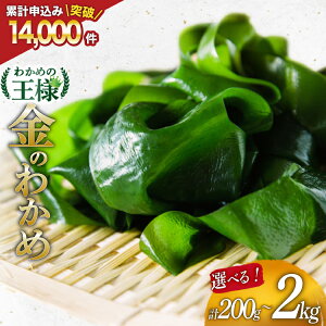 yӂ邳Ɣ[Łz 킩߂̉l OY ̂킩 yIׂeʁz[J~ {錧 Cs 20564974] C 킩 J   O킩 O Y 200g 3 10