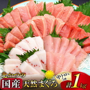 yӂ邳Ɣ[Łz k̃}O gZbg [k {錧 Cs 20563599]  hg   ܂ }O {}O }O g JWL o` ߂΂ r`E Ⓚ 