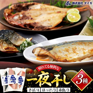 yӂ邳Ɣ[Łz  ؂Ă֗Ȉ銱 310 [CsYU {錧 Cs 20565256] lߍ킹 Ђ Ⓚ
