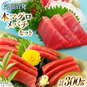 yӂ邳Ɣ[Łz {}OEo`Zbg [@c {錧 Cs 20563739] CN  ܂  o`}O hg {}O