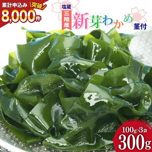 yӂ邳Ɣ[Łz yt񂩂̂킯zV킩 300g(100g×3) [ނ {錧 Cs 20564375] 킩 J  C Y O X`  O킩 z