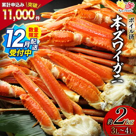 【ふるさと納税】 12月配送受付中 数量限定【選べる配送時期】ボイル済み 本ずわいがに 脚 3L～4L 総重量 2kg [カネダイ 宮城県 気仙沼市 20564764] カニ 蟹 ズワイガニ ずわい蟹 ズワイ蟹 ずわい ズワイ カニ脚 蟹脚 足 ボイル