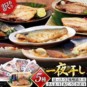 yӂ邳Ɣ[Łz 󂠂  5 5p [CsYU {錧 Cs 20565738]   lߍ킹 Zbg KiO ƒp A 킯 Ђ