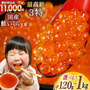 yӂ邳Ɣ[Łz yTVŏЉIzō3 Y t   ݖ y eʂIׂz [ނ {錧 Cs] CN CN  ݖЂ   120g 240g 360g 500g 1kg