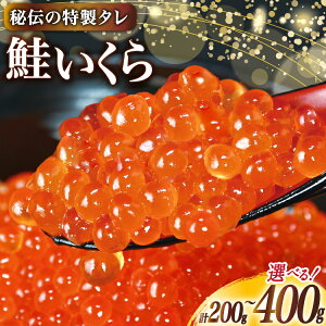 yӂ邳Ɣ[Łz yIׂeʁz t   ݖ [ނ {錧 Cs 20565087] CN CN  ݖЂ  200g 400g z