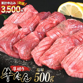 【ふるさと納税】 厚切り牛タン 塩味 500g [亀山精肉店 宮城県 気仙沼市 20565156] 精肉 肉 牛肉 牛たん 牛タン ぎゅうたん タン タン塩 厚切り 味付き 冷凍 焼肉 焼き肉 BBQ アウトドア