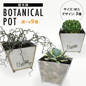 yӂ邳Ɣ[Łz Aؔ BOTANICAL POT yIׂfށETCYz [cSH {錧 Cs 20565159] v^[  A   A AKx A~   K[f DIY A  