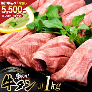 yӂ邳Ɣ[Łz ^ Ỏgp ؂ ^XCX 1kg (500g×2P) [炭퐸X {錧 Cs 20565164]     ^ XCX ē ^  Ⓚ