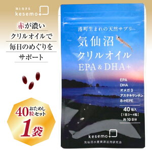 yӂ邳Ɣ[Łz C NIC 1 40 [KESEMO MARINUS {錧 Cs 20565393]