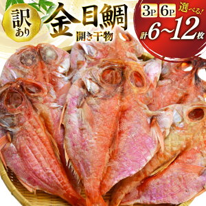 yӂ邳Ɣ[Łz yeʂIׂz 6/12 󂠂  ڑ J [X {錧 Cs 20565603]   L_C ƒp A 킯 Ђ  Ⓚ