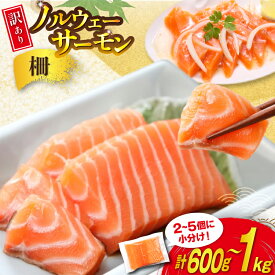 【ふるさと納税】 訳あり 無添加 ノルウェー産 アトランティックサーモン 柵 生食用【選べる内容量】600g / 1kg [足利本店 宮城県 気仙沼市 20565653] サーモン さけ サケ 鮭 魚介類 鮭 お刺し身 刺し身 刺身 個包装 海鮮 海鮮丼 魚介 魚 小分け 冷凍 真空包装 ノルウェー