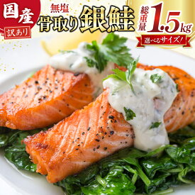 【ふるさと納税】 訳あり 国産 骨取り 銀鮭 切身 計1.5kg 無添加 無塩【選べるサイズ】厚切/普通/お弁当用 [足利本店 宮城県 気仙沼市 20565654] サーモン 訳アリ わけあり 鮭 しゃけ サケ さけ 骨なし 訳あり銀鮭 加熱用