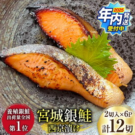 【ふるさと納税】2025 年内発送 【選べる配送時期】 宮城銀鮭 西京漬け 2切入×6パック [カネダイ 宮城県 気仙沼市 20565746] 魚 魚介類 漬魚 冷凍 鮭 サケ さけ しゃけ シャケ 銀鮭 ギンザケ 西京漬け 個包装 おかず 漬け魚 切り身 切身