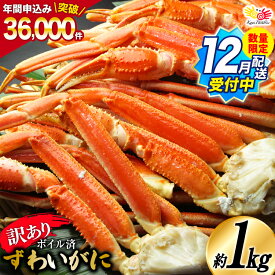 【ふるさと納税】【12月配送受付中 数量限定】 訳あり 【選べる配送時期】 ボイル ずわいがに 肩付き脚 総重量1kg [カネダイ 宮城県 気仙沼市 20565778] カニ かに 魚介類 ズワイガニ ずわい蟹 ズワイ蟹 ずわい ズワイ 蟹 カニ カニ脚 蟹脚 不揃い 規格外 海鮮 ご褒美