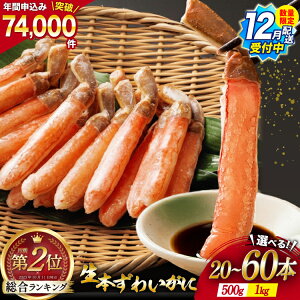 yӂ邳Ɣ[Łz 1kg 28,000~y12ztz {킢 _ |[V 1kg / 500g [Jl_C {錧 Cs 20565779] ނg Jj   킢 YCKj 킢I YC