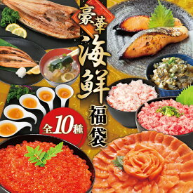 【ふるさと納税】 豪華 海鮮福袋 全10種 [カネダイ 宮城県 気仙沼市 20565836] 海鮮 魚介類 福袋 いくら ホタテ カニ かに ズワイガニ フカヒレ サーモン 魚介 魚 詰め合わせ 冷凍