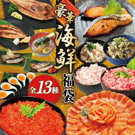 【ふるさと納税】 豪華 海鮮福袋 全13種 [カネダイ 宮城県 気仙沼市 20565837] 海鮮 魚介類 福袋 いくら ホタテ カニ かに ズワイガニ フカヒレ サーモン 魚介 魚 詰め合わせ 冷凍