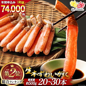 yӂ邳Ɣ[Łz {킢 _ |[V 20`30{ d 500g [Jl_C {錧 Cs 20564322] ނg Jj   킢 YCKj 킢I YCI I Jj Jjr 