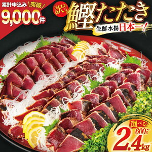 yӂ邳Ɣ[Łz 󂠂 C`g  ^^L yeʂIׂz [X {錧 Cs 20562662]   CN   ^pbN  JcI   Ⓚ Ki