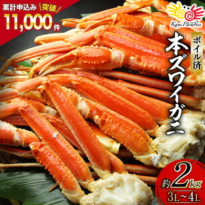 yӂ邳Ɣ[Łz {Cς {킢 r 3L`4L d 2kg [Jl_C {錧 Cs 20564764] Jj I YCKj 킢I YCI 킢 YC CN  Jjr Ir  {C 