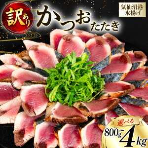 yӂ邳Ɣ[Łz yeʂIׂz 󂠂   [{X {錧 Cs 20565088]   CN  JcI   hg hg   Hp ^pbN 