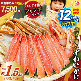 【ふるさと納税】 【12月配送受付中 数量限定】【選べる配送時期】 カット済 ずわいがに むき身セット 総重量1.5kg(750g×2p) かにしゃぶ かに鍋 正味重量1.2kg [カネダイ 宮城県 気仙沼市 20565785] かに カニ ずわいがに ずわい 蟹 棒 魚介 海鮮 ポーション