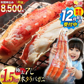 【ふるさと納税】 2025 年内発送 数量限定【選べる配送時期】本 タラバガニ 脚 ボイル済 約1.5kg 極太7Lサイズ [カネダイ 宮城県 気仙沼市 20564326] カニ かに 蟹 たらばがに たらば蟹 タラバ蟹 たらば タラバ ボイル 年末 年内配送 12月配送