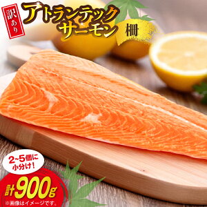 yӂ邳Ɣ[Łz 󂠂 mEF[Y AgeBbN T[ ͂ ۍ 900g  ݗp Y  [{X {錧 Cs 20565735]   TP T[ Hp 