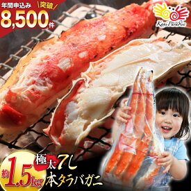 【ふるさと納税】 本 タラバガニ 脚 ボイル済 約1.5kg 極太7Lサイズ [カネダイ 宮城県 気仙沼市 20564326] カニ かに 蟹 たらばがに たらば蟹 タラバ蟹 たらば タラバ ボイル