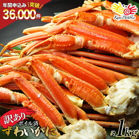 【ふるさと納税】 訳あり 【選べる配送時期】 ボイル ずわいがに 肩付き脚 総重量1kg [カネダイ 宮城県 気仙沼市 20565778] カニ かに 魚介類 ズワイガニ ずわい蟹 ズワイ蟹 ずわい ズワイ 蟹 カニ カニ脚 蟹脚 不揃い 規格外 海鮮 ご褒美