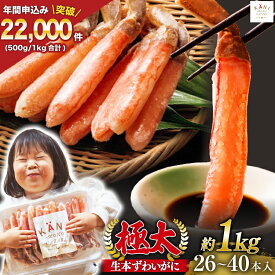 【ふるさと納税】 【選べる配送時期】 極太 生本ずわいがに 棒肉ポーション 約1kg 26本〜40本入り 殻剥き不要 ! 脚肉のみ ! [カネダイ 宮城県 気仙沼市 20565782] 蟹 かに カニ ずわいがに ズワイガニ ずわい蟹 ズワイ蟹 カニ脚 蟹脚 カニ棒肉